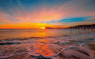 Folly Beach to Charleston Guide