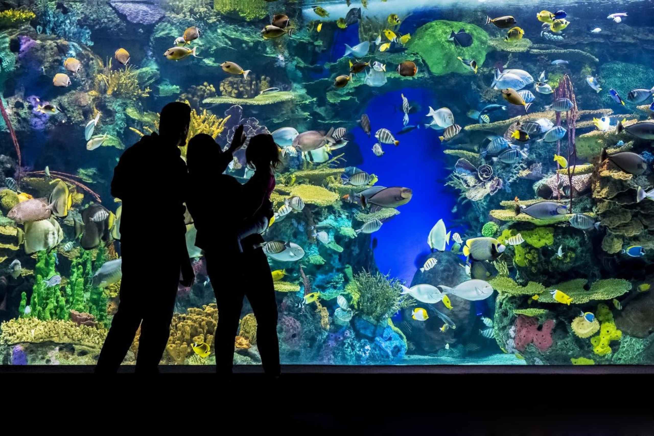 Best Charleston SC attractions for couples