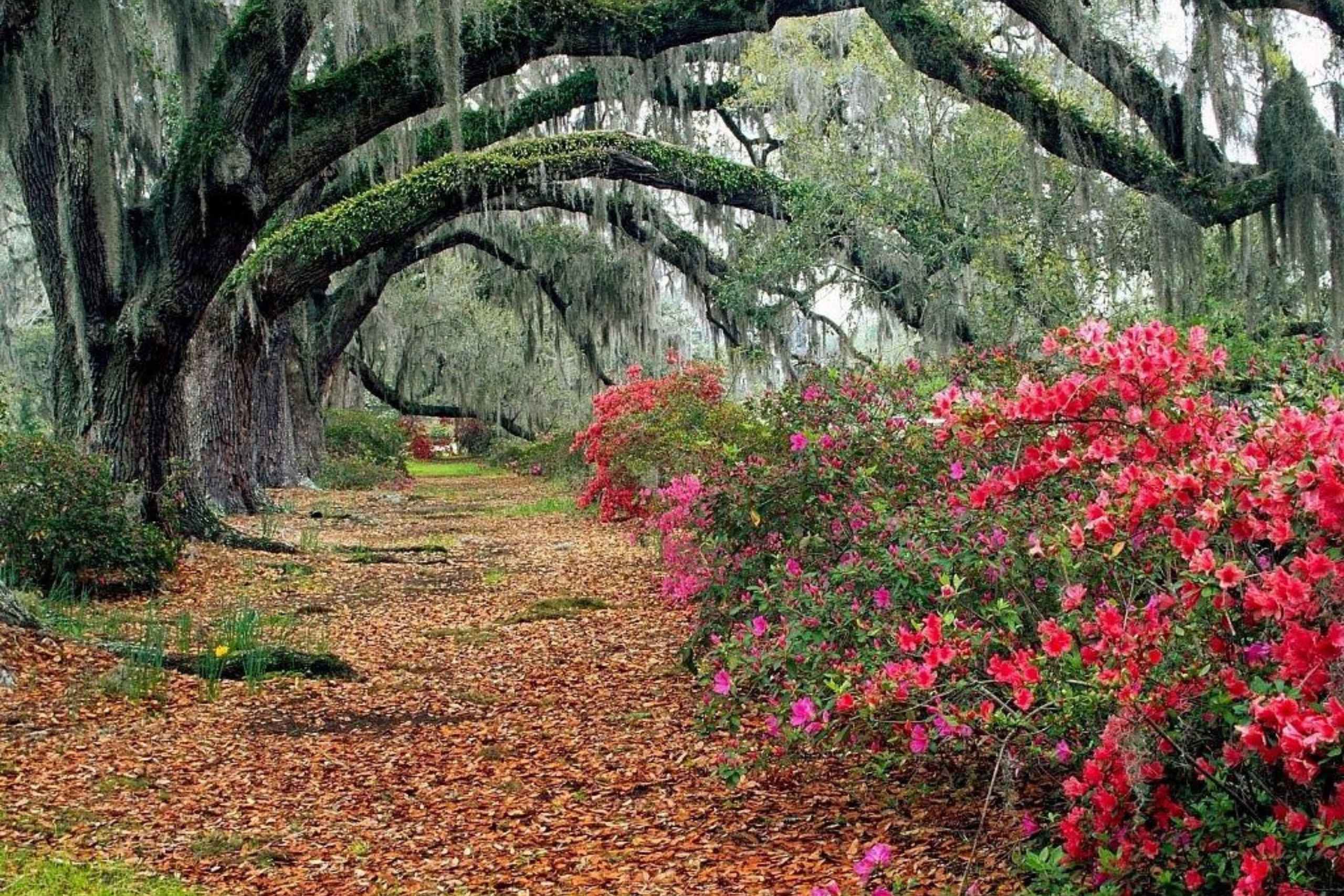 Best Charleston SC attractions for couples