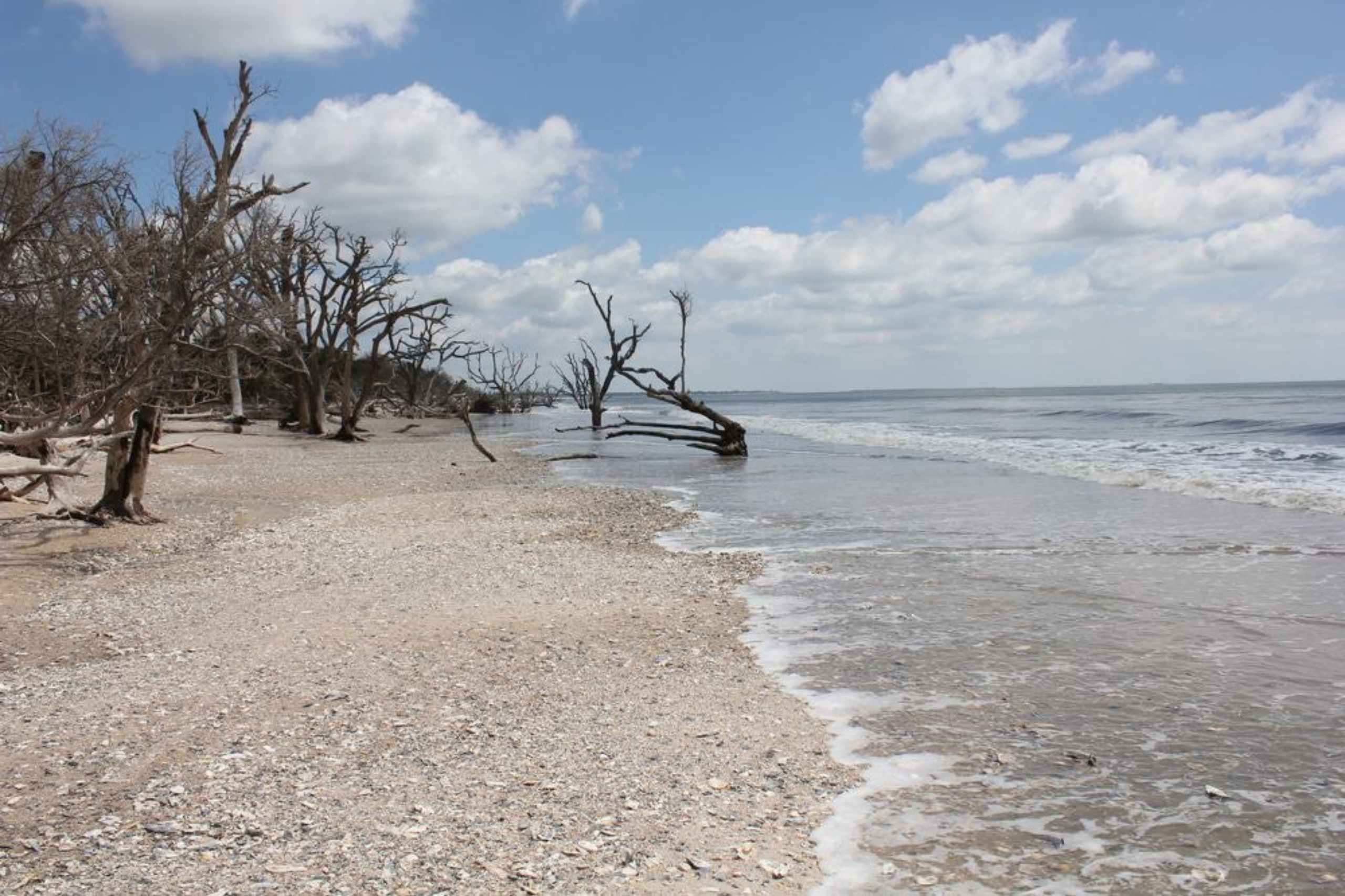 What to do in Charleston South Carolina beaches
