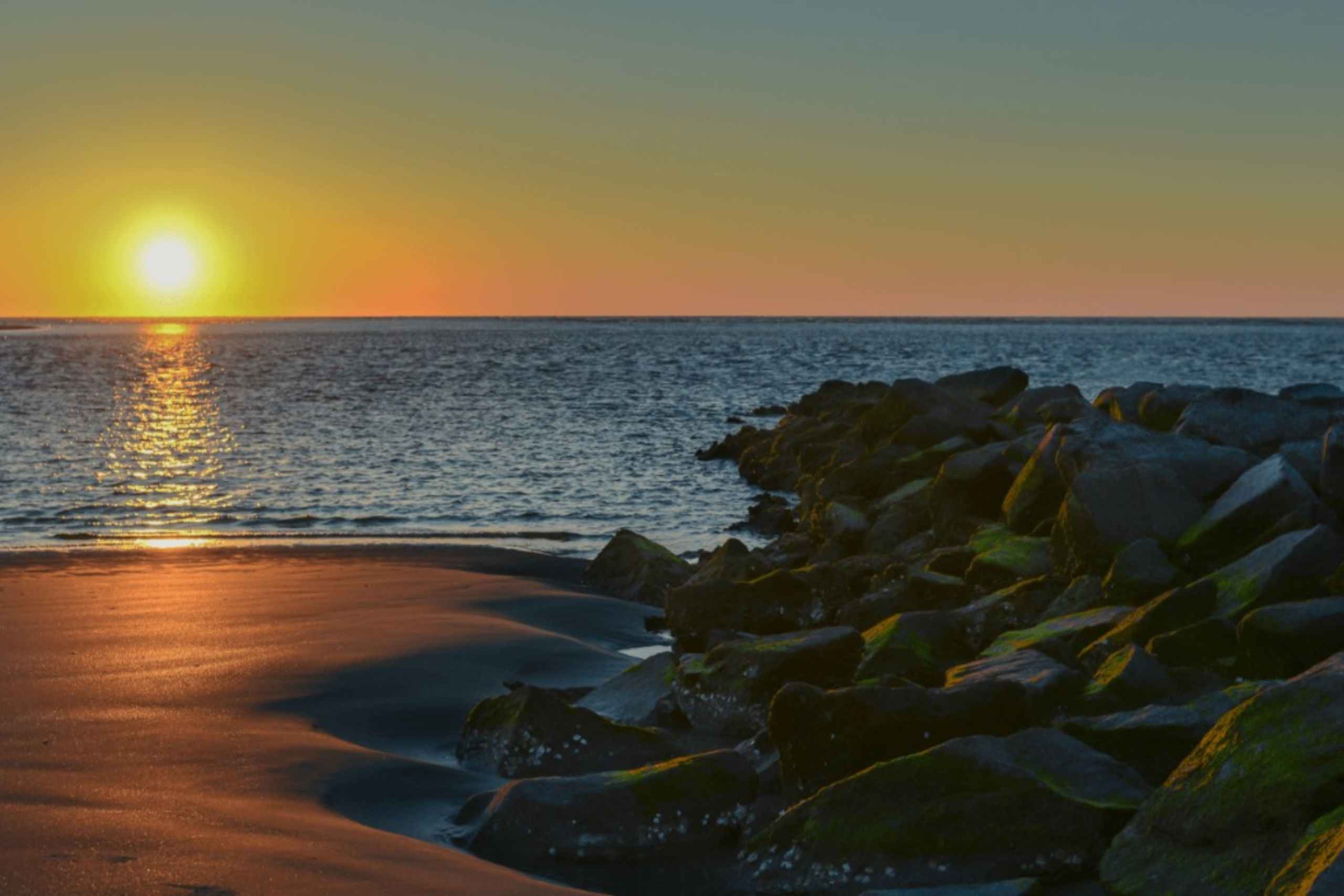 Folly Beach Vacation Guide