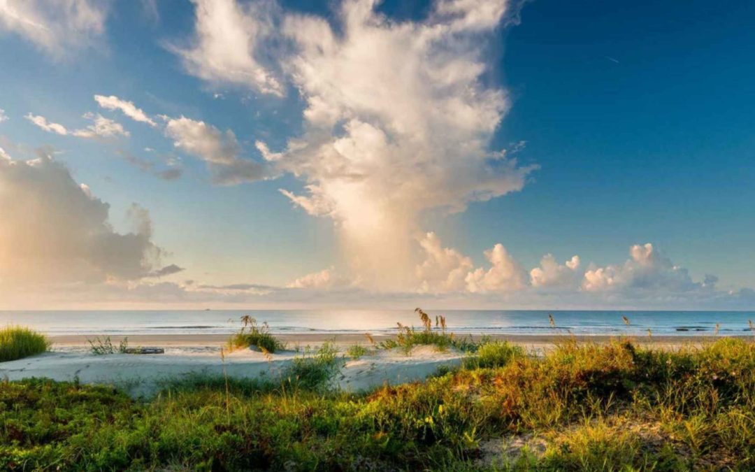 Kiawah Island Vacation Guide