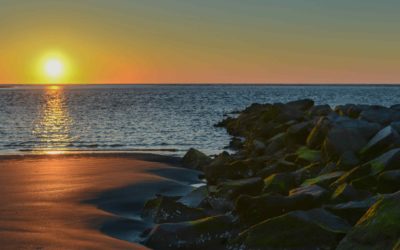 Top 6 Things to Do in Folly Beach