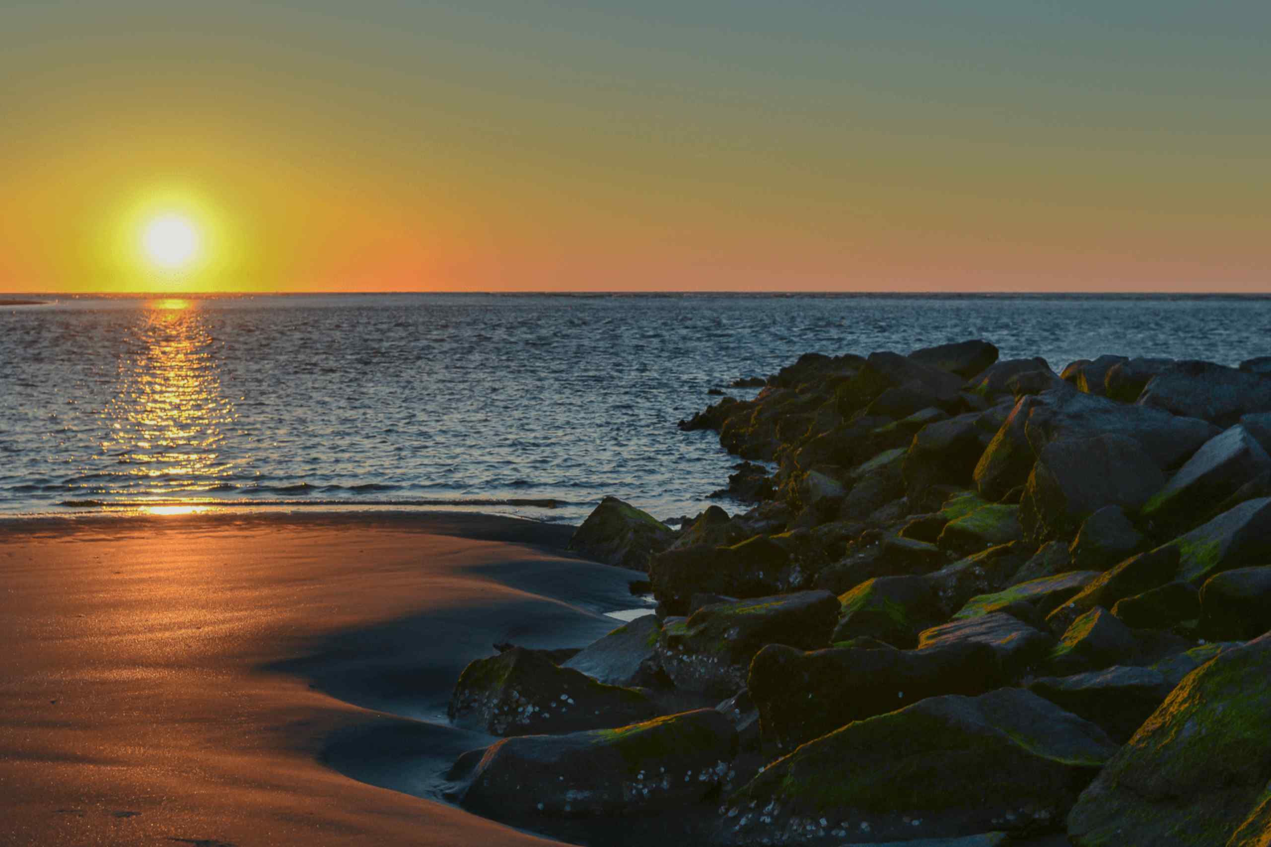 Top 6 Things to Do in Folly Beach