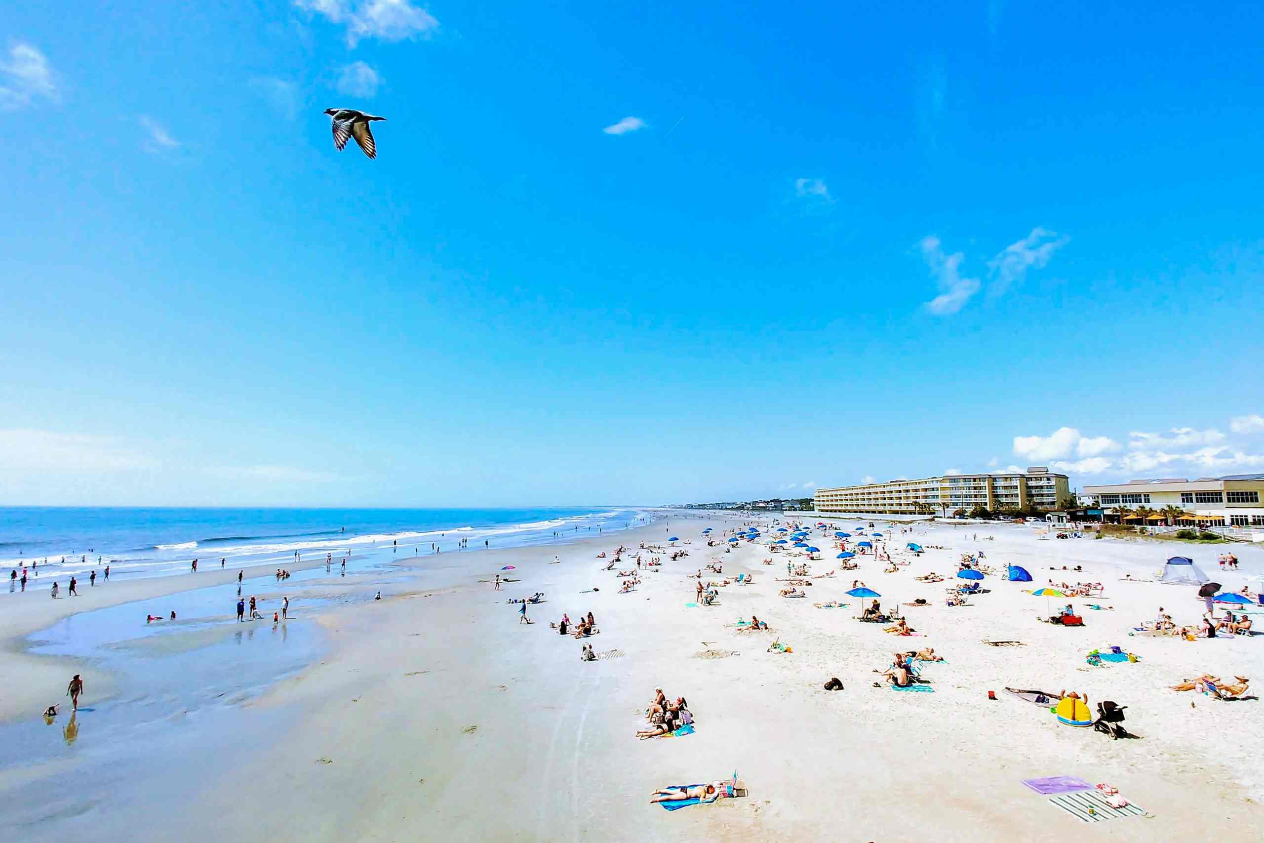 Folly beach Attractions