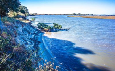 Guide to Kiawah Island, South Carolina