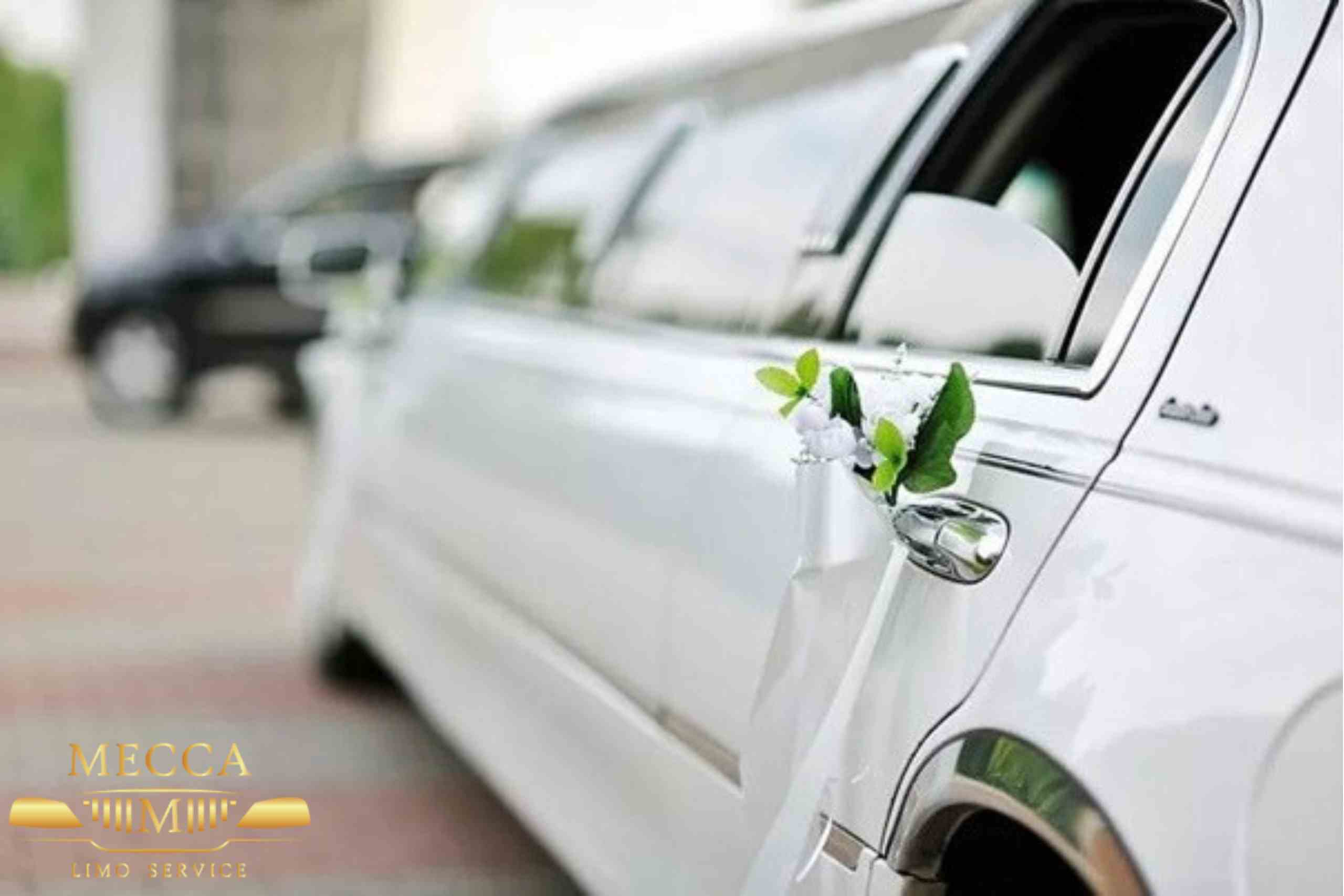 limousine-service-in-charleston-sc