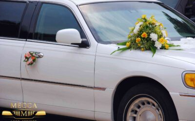 Best Charleston Wedding Limo Rates for Luxury & Comfort