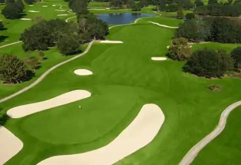 Golf Courses limo service in Charleston, SC