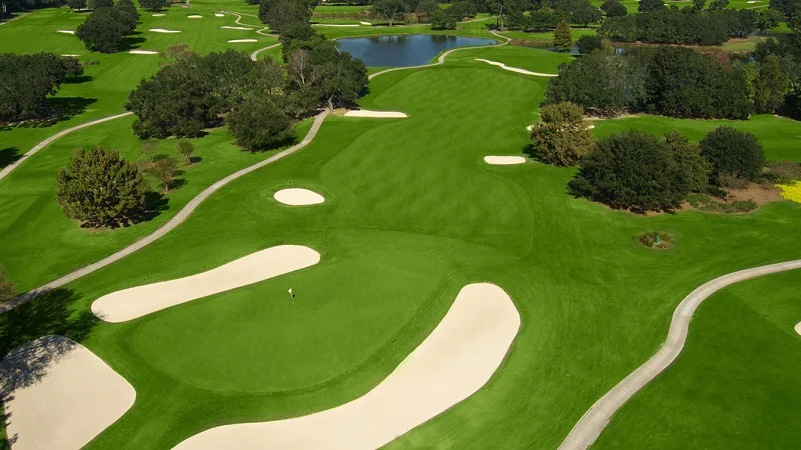 Golf Course Transportation in Charleston, SC