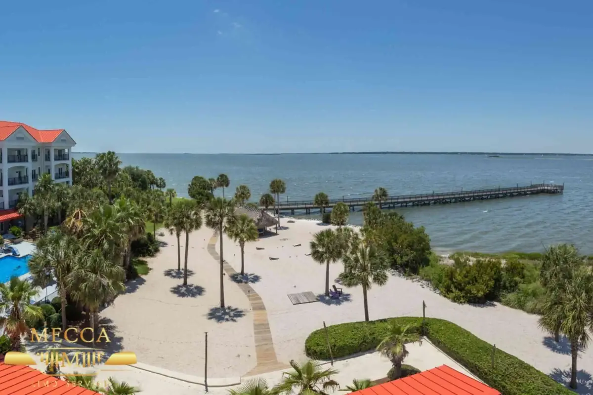 Explore Charleston Harbor Beach: Where to Stay and What to Do